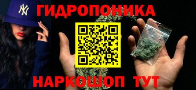 гидра Дубна