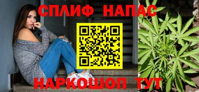 гидра Дубна