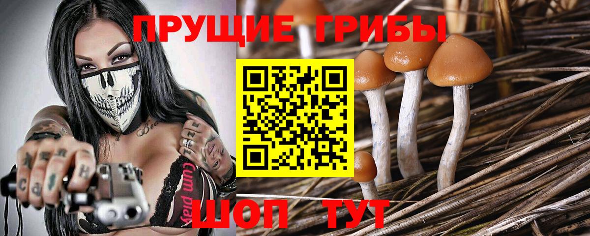 Псилоцибиновые грибы MAGIC MUSHROOMS Ливны