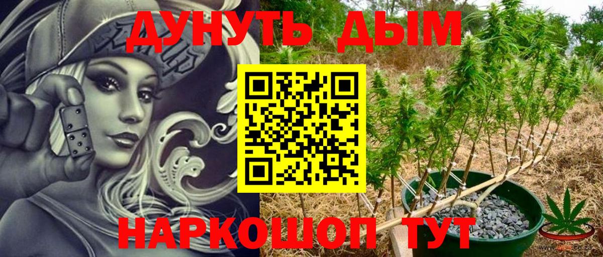 Канабис Ganja  Вход с VPN  Ливны  Конопля тримм  Каннабис MAZAR 